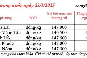 Giá tiêu hôm nay 23/1/2025, trong nước tăng nhẹ