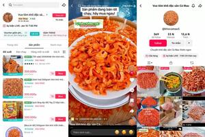Chàng trai 9X thành công đưa sản vật quê lên TikTok Shop