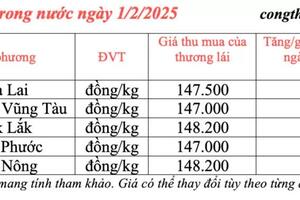 Giá tiêu hôm nay 1/2/2025, trong nước ổn định, thế giới tăng