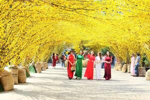 Du lịch Việt Nam thu hút khách du Xuân Ất Tỵ 2025