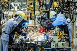 TP.Hồ Chí Minh: Hơn 1.800 doanh nghiệp thành lập mới đầu năm
