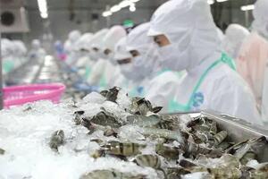 Tháng 1/2025, xuất khẩu thủy sản sang Trung Quốc tăng 80,8%