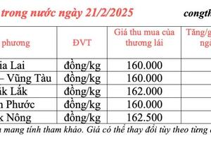 Giá tiêu hôm nay 21/2/2025, trong nước đi ngang, thế giới giảm