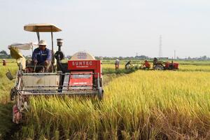 Đòn bẩy cho thương mại Việt Nam - Anh