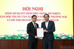 Tin nhân sự 3/3: Công tác cán bộ tại ba tỉnh Lào Cai, Lạng Sơn, Hà Nam