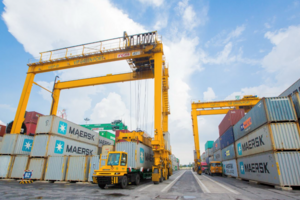 Một doanh nghiệp nhập sai số liệu khiến lợi nhuận tăng lên gần 127 tỷ đồng