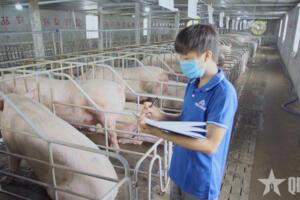 Đưa hàng hóa tiến sâu vào thị trường Singapore