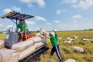 Thủ tướng chỉ đạo tìm giải pháp thúc đẩy xuất khẩu gạo, làm lành mạnh thị trường