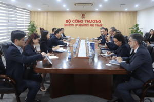 Tập đoàn EDF sẽ mở rộng hợp tác về năng lượng mới tại Việt Nam