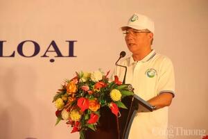 Sự kiện “Đi bộ vì hòa bình 2025” - hành trình lan tỏa yêu thương từ Đà Nẵng