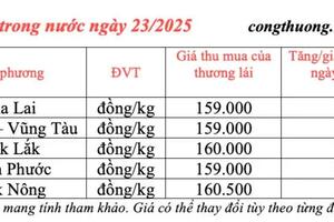 Giá tiêu hôm nay 23/3/2025 trong nước cao nhất vượt 160.000 đồng/kg