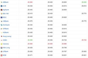 Tỷ giá USD hôm nay 25/03/2025: Đồng USD tăng vọt