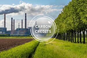 Trung Quốc mở rộng thị trường carbon sang thép, xi măng, nhôm