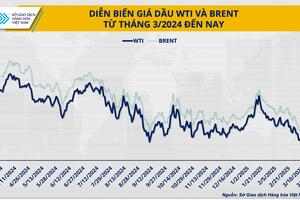 Giá dầu và tình thế tiến thoái lưỡng nan của OPEC