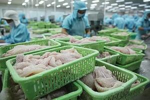 Thủy sản Việt chủ động thích ứng quy định asen tại EU