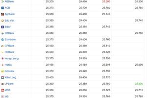 Tỷ giá USD hôm nay 01/04/2025: Tương lai đồng USD ảm đạm