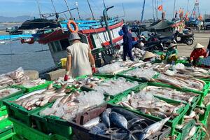 Bà Rịa - Vũng Tàu: Doanh nghiệp chủ động chuyển hướng xuất khẩu