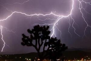 Ấn Độ: Sét đánh và mưa đá khiến nhiều người thiệt mạng