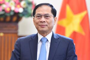 Việt Nam quyết tâm cùng cộng đồng quốc tế thúc đẩy các chiến lược chuyển đổi xanh và bền vững