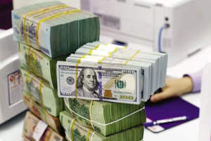 Tỷ giá USD hôm nay 15/04/2025: Đồng USD tăng giá trở lại
