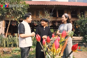 Hành trình kết nối xanh: Tuyên Quang – Sống Xanh Giữa Đại Ngàn, Thấm Đẫm Hồn Dân Tộc