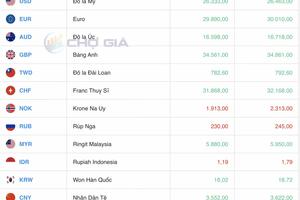 Tỷ giá Yen Nhật hôm nay 22/4/2025: "Hầm trú ẩn" an toàn
