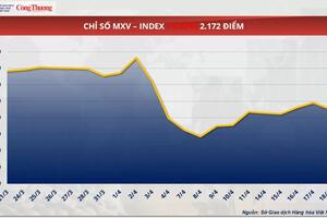 Giá đậu tương giảm nhẹ 0,68% về mức 378 USD/tấn