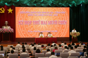 Bà Rịa - Vũng Tàu tán thành chủ trương sáp nhập với TP. Hồ Chí Minh, Bình Dương