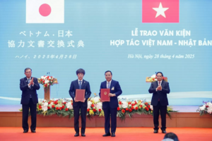 Việt Nam - Nhật Bản: Thúc đẩy hợp tác chuyển dịch năng lượng