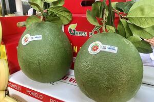 Cơ hội xuất khẩu quả bưởi khi Australia hoàn tất đánh giá