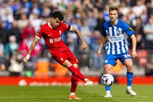 Lịch thi đấu bóng đá ngày 19/5: Brighton đấu với Liverpool