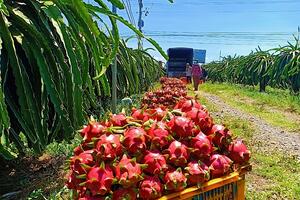 Nông sản Việt: Thích ứng với 'cuộc chơi' thị trường