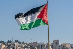 Cờ Palestine sẽ lần đầu tung bay tại trụ sở WHO