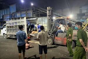 Vĩnh Phúc xử lý hơn 1 tấn thịt lợn không đảm bảo an toàn thực phẩm