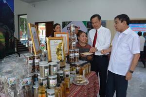 Mắc ca - hạt giống khát vọng ở Tuần Giáo