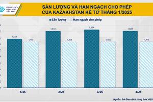 OPEC+ giờ đã ‘thích’ giá dầu thấp?