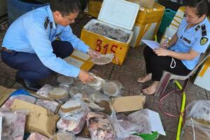Quảng Bình phát hiện, thu giữ gần 270kg thực phẩm không rõ nguồn gốc