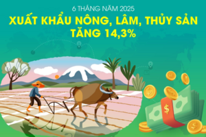 Xuất khẩu nông, lâm, thủy sản tăng 14,3% trong 6 tháng đầu năm 2025