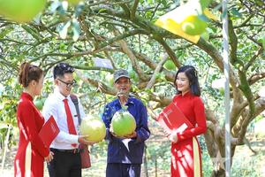 Chuyển dịch vốn vào các ngành kinh tế ít phát thải