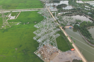 EVNNPT chủ động phối hợp với địa phương thúc đẩy các dự án truyền tải sau sáp nhập