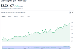 Giá vàng hôm nay 12/07/2025