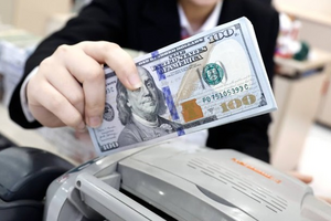 Tỷ giá USD hôm nay 13/07/2025: Neo ở mức cao