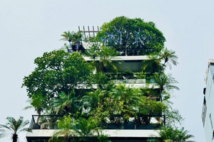 "Xanh hóa" công trình, xu hướng bất động sản bền vững, hiệu quả