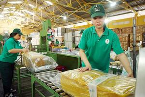 “Xanh hóa” sản xuất, nâng tầm chuỗi giá trị