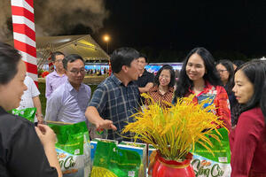 Thúc đẩy thương mại điện tử xuyên biên giới, mở rộng xuất khẩu bền vững