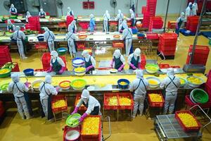 Xuất khẩu rau quả ước vượt 3,8 tỷ USD sau 7 tháng, hướng tới mục tiêu 8 tỷ USD