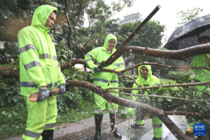 Thiệt hại do bão Wipha tại Quảng Đông (Trung Quốc)