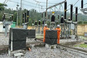 Gia cố hệ thống lưới điện, bảo đảm an toàn trước mưa, bão