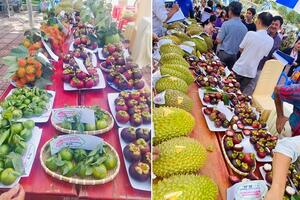 Đẩy mạnh chuỗi giá trị, mở rộng thị trường tiêu thụ trái cây miền núi