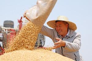 Làm nông thời công nghệ